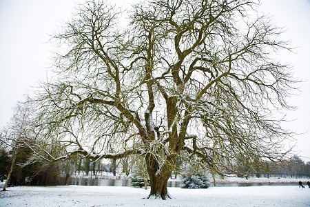 Snow in Swindon