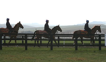 Alan King's Stable Visit 