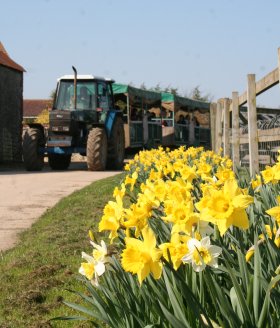 Spring in Swindon