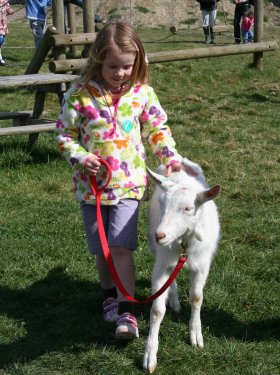 Farmer Gows Swindon