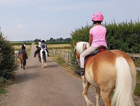 Rein & Shine Pony Days Swindon