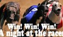 Win a night at the races