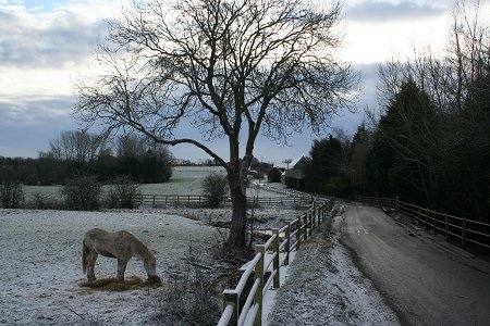 Swindon Snow Scene 21 Dec 2009