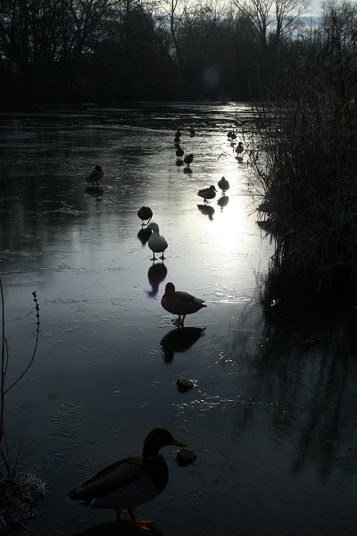Walcot Winter Wonderland 2009