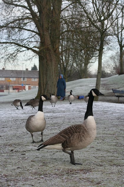 Walcot Winter Wonderland 2009