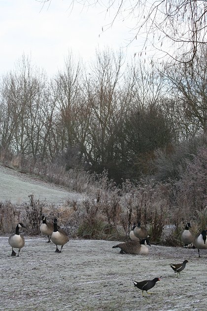 Walcot Winter Wonderland 2009