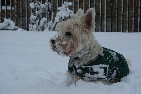 Highworth Snow 2010