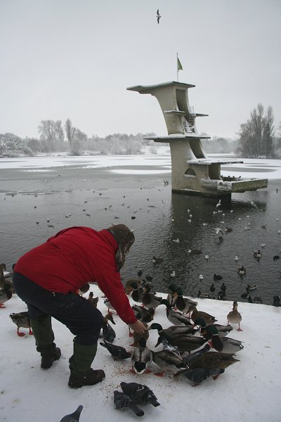 Coate Water Swindon Snow 06 Jan 2010