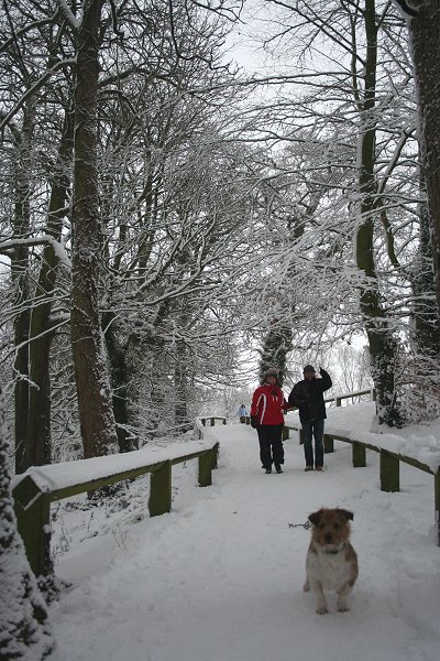 Coate Water Swindon Snow 06 Jan 2010