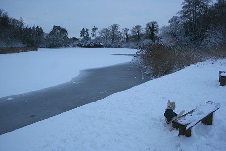 Swindon Stanton Park snow 06 January 2009