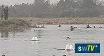 Taking the plunge for charity