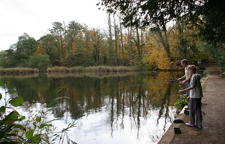 Stanton Park, Swindon