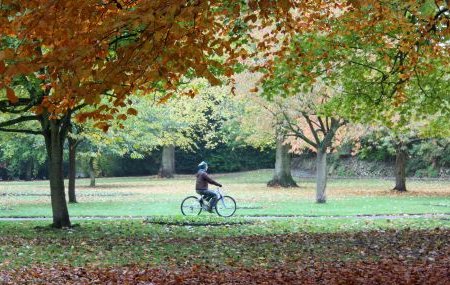 The Lawn, Swindon in autumn