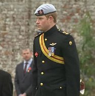 Prince Harry at Lydiard Park, Swindon