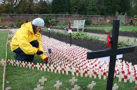 Field of Rembrance, Lydiard Park, Swindon