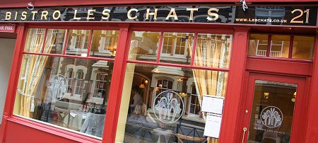 Les Chats in Old Town, Swindon