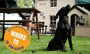 DOG FRIENDLY FOOD PUBS