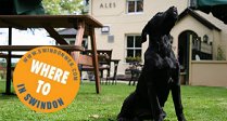 Dog Friendly Food Pubs