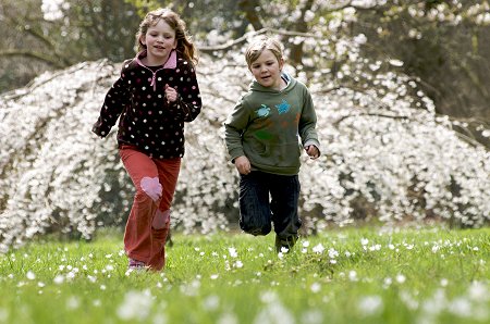 Westonbirt in Spring