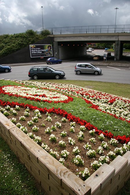 Cockleberry roundabout Swindon flower display