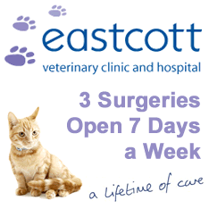Eastcott Vets Swindon