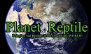 Planet Reptile