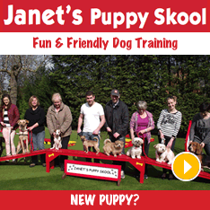 Janet's Puppy School