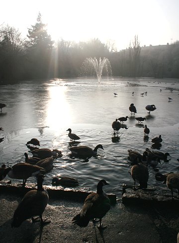 Winter time in Swindon 07