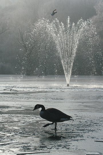 Winter time in Swindon 07