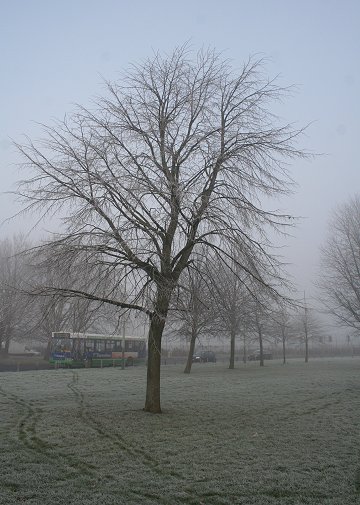 Winter time in Swindon 07