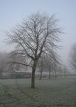 Winter time in Swindon 07