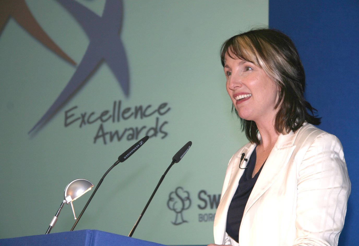 Council Excellence Awards