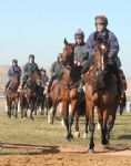 Alan King at Barbury Castle