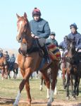 Alan King at Barbury Castle