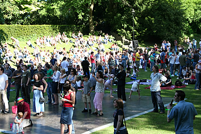 Dragonfly Ball 06