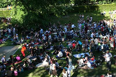 Dragonfly Ball 06