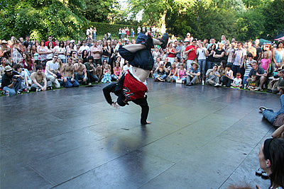 Dragonfly Ball 06