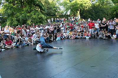 Dragonfly Ball 06