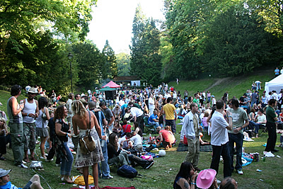 Dragonfly Ball 06