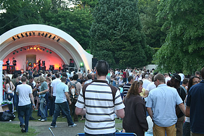 Dragonfly Ball 06