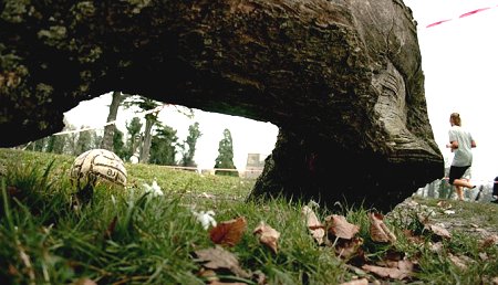 British Heart Foundation run