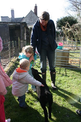 Lower Shaw Farm Summer Launch