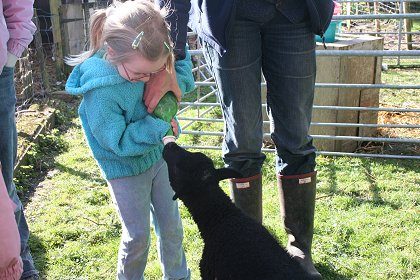 Lower Shaw Farm Summer Launch