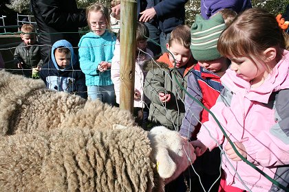 Lower Shaw Farm Summer Launch
