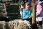 Lower Shaw Farm Summer Launch