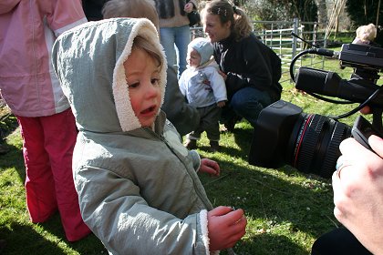 Lower Shaw Farm Summer Launch