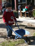 Lower Shaw Farm Summer Launch