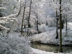 Snow in Swindon 2008