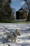 Snow in Swindon 2008