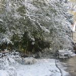 Snow in Swindon 2008